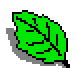 Obr�zek